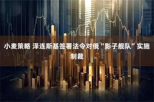 小麦策略 泽连斯基签署法令对俄“影子舰队”实施制裁