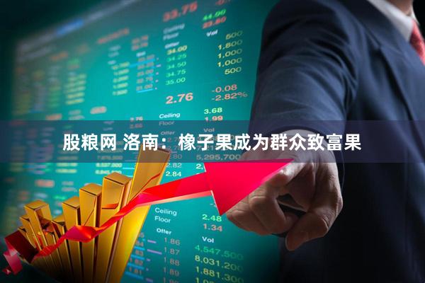 股粮网 洛南：橡子果成为群众致富果