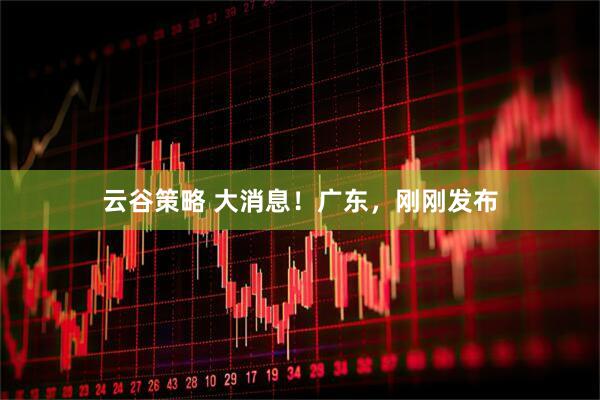 云谷策略 大消息！广东，刚刚发布