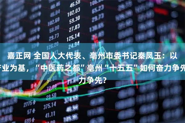 嘉正网 全国人大代表、亳州市委书记秦凤玉：以产业为基，“中医药之都”亳州“十五五”如何奋力争先？
