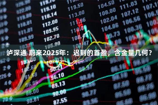 泸深通 蔚来2025年：迟到的首盈，含金量几何？