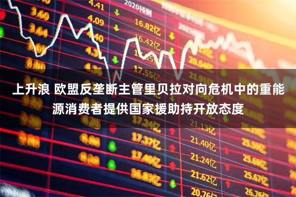 上升浪 欧盟反垄断主管里贝拉对向危机中的重能源消费者提供国家援助持开放态度