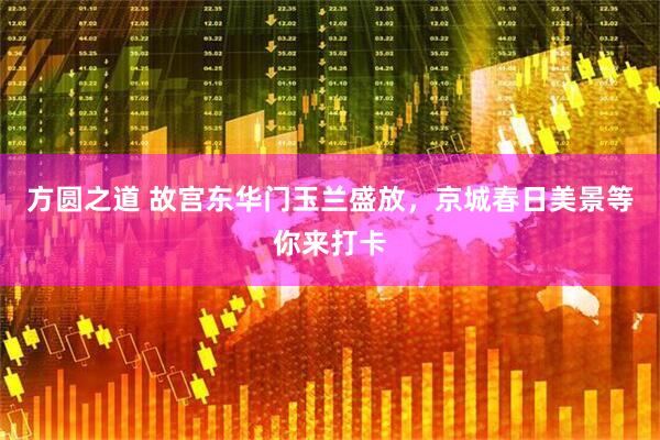 方圆之道 故宫东华门玉兰盛放，京城春日美景等你来打卡