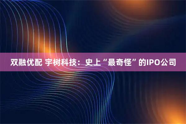 双融优配 宇树科技：史上“最奇怪”的IPO公司