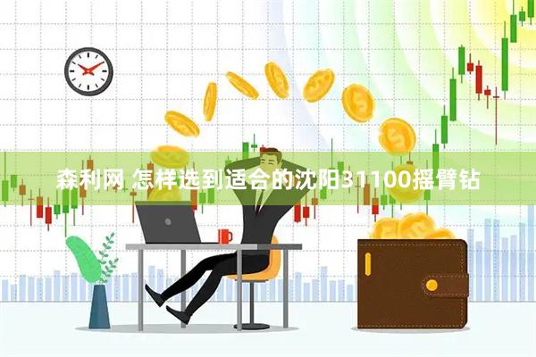 森利网 怎样选到适合的沈阳31100摇臂钻