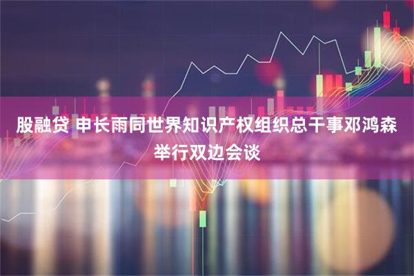 股融贷 申长雨同世界知识产权组织总干事邓鸿森举行双边会谈