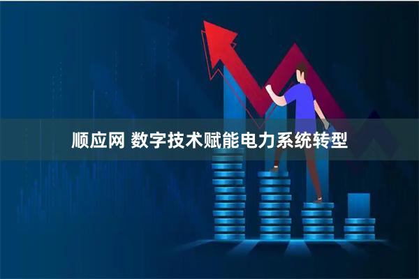 顺应网 数字技术赋能电力系统转型