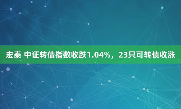 宏泰 中证转债指数收跌1.04%,23只可转债收涨