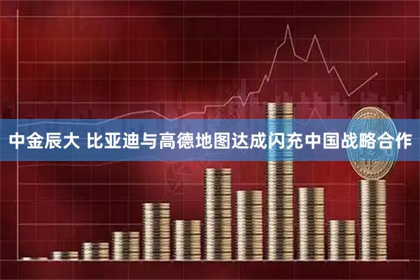 中金辰大 比亚迪与高德地图达成闪充中国战略合作
