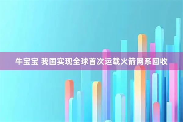 牛宝宝 我国实现全球首次运载火箭网系回收