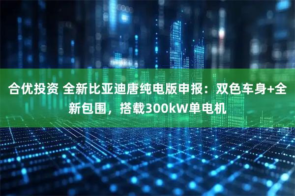 合优投资 全新比亚迪唐纯电版申报：双色车身+全新包围，搭载300kW单电机