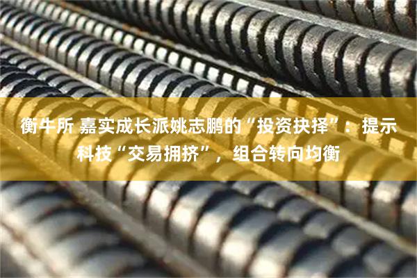 衡牛所 嘉实成长派姚志鹏的“投资抉择”：提示科技“交易拥挤”，组合转向均衡