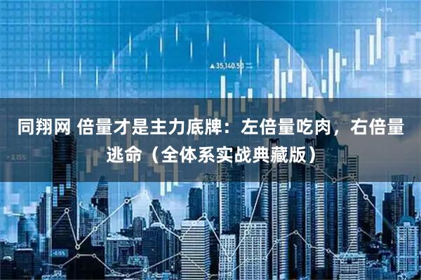 同翔网 倍量才是主力底牌:左倍量吃肉,右倍量逃命(全体系实战典藏版)