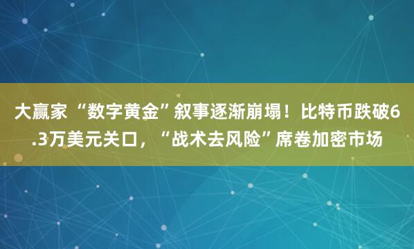 大赢家 “数字黄金”叙事逐渐崩塌！比特币跌破6.3万美元关口，“战术去风险”席卷加密市场