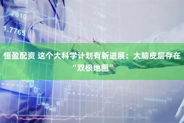 恒盈配资 这个大科学计划有新进展：大脑皮层存在“双极地图”